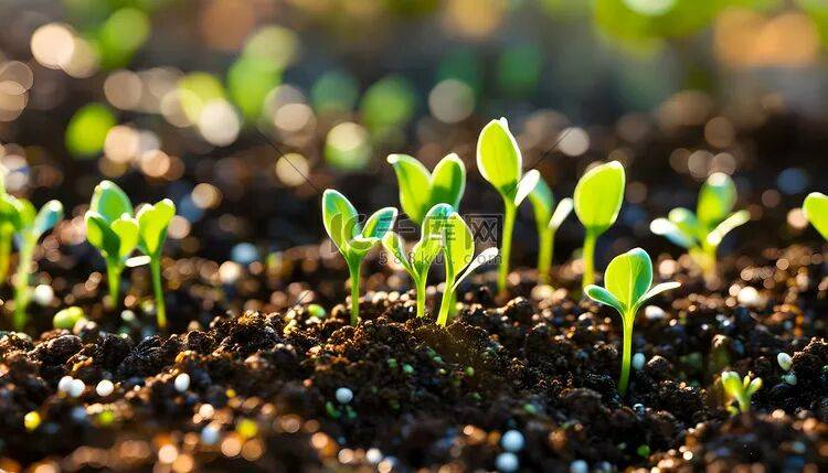 单词背后的西方文化 | spring(春天):万物萌生的季节_英语_词源_her