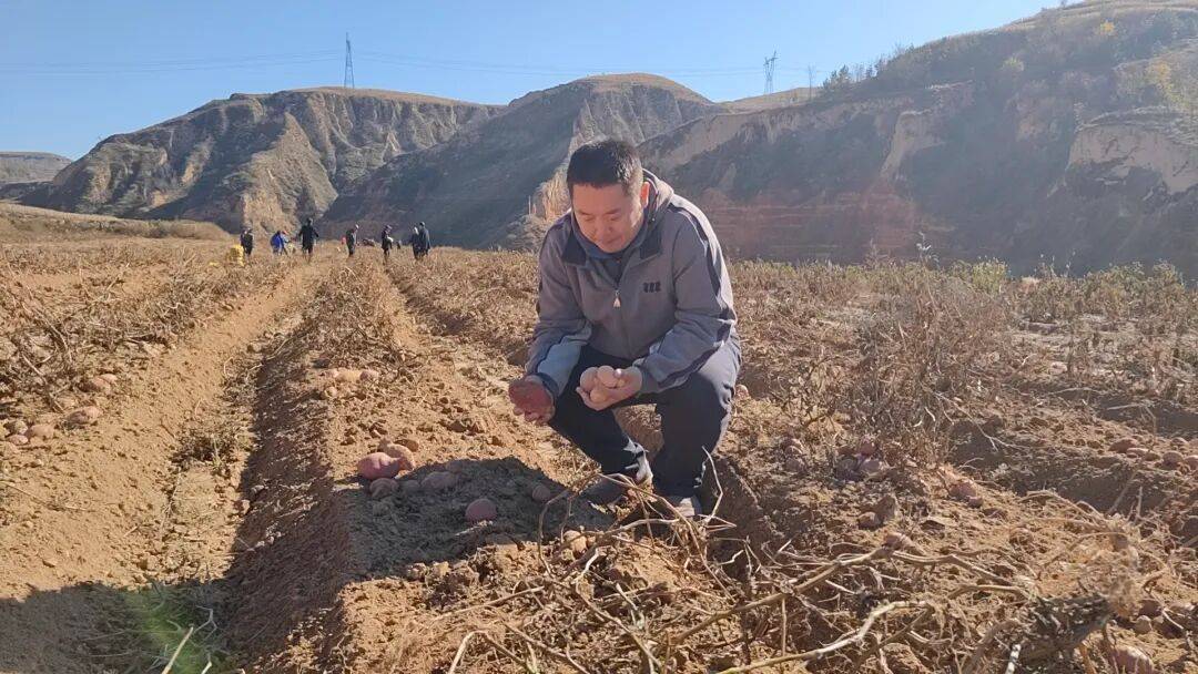 开元棋牌- 开元棋牌APP下载- 官方网站科协力量扎根晋土 李昭深耕临县魏家湾：书写和美乡村新篇