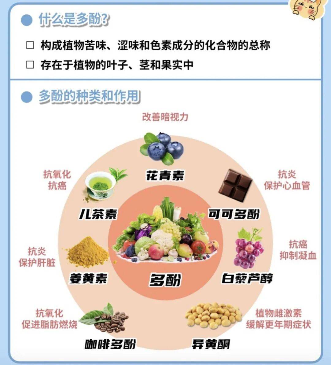 抗氧化【多酚】：护心健脑、控糖抗炎