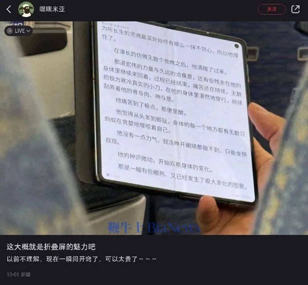 东北霸总，为什么用不了折叠屏?