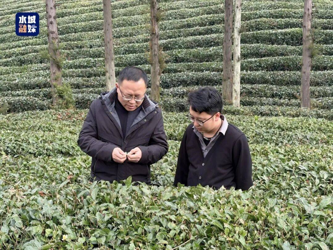 代表委员风采录 | 省人大代表刘兴：助茶香飘世界