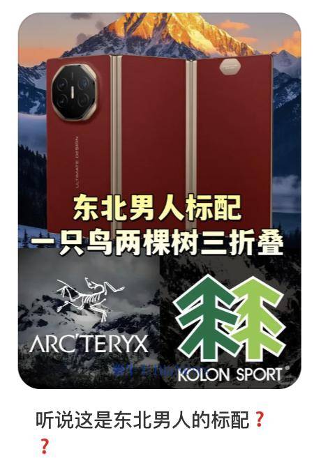 东北霸总，为什么用不了折叠屏?