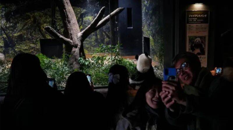 旅日大熊猫“晓晓”“蕾蕾”，今天回国 -华闻时空