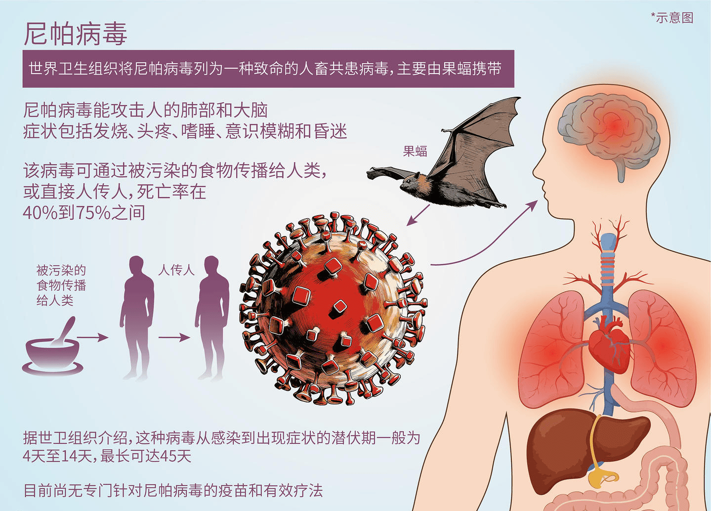  最近最流行的病毒(最新流行病毒)
