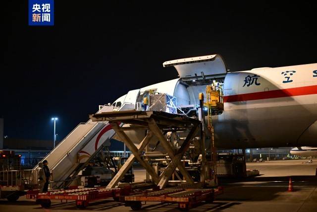 图片[2]-旅日大熊猫“晓晓”“蕾蕾”入住中国大熊猫保护研究中心雅安基地 -华闻时空