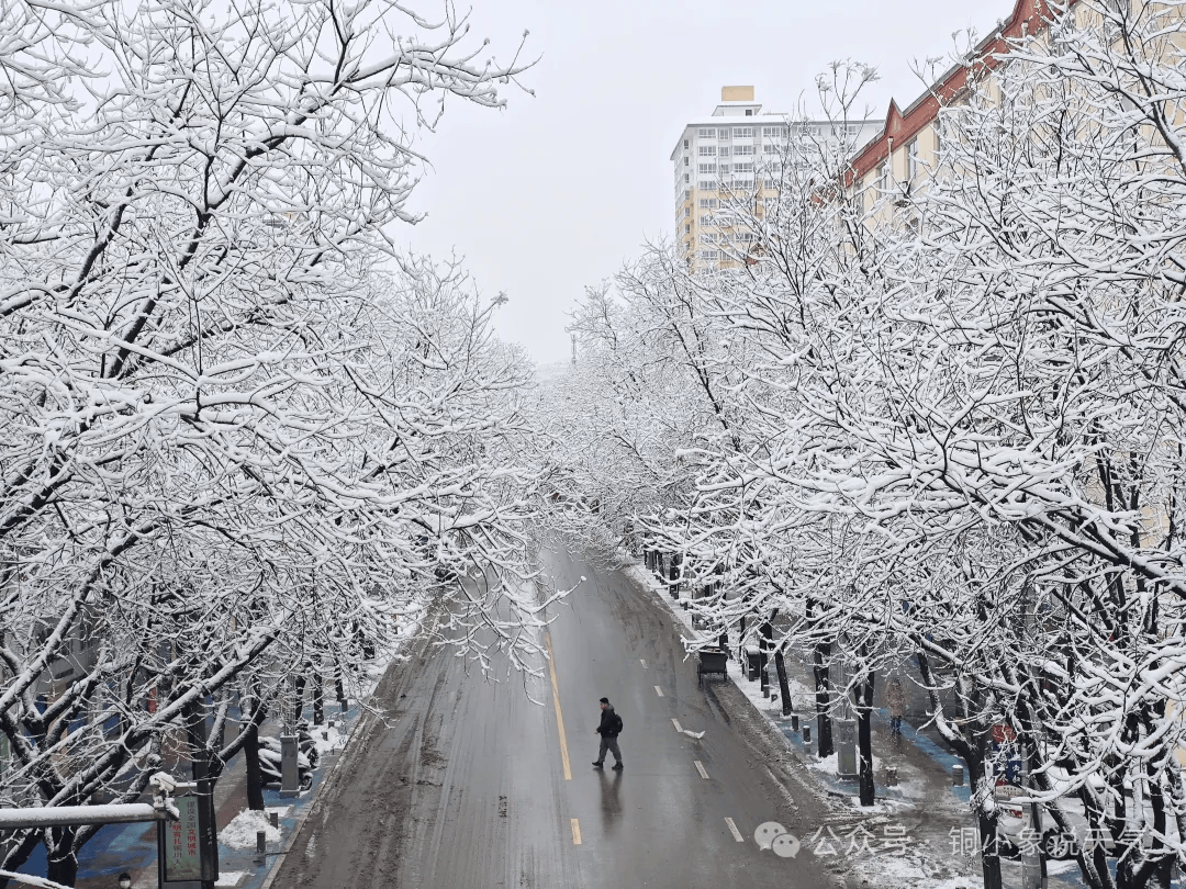 【天气预报】29至30日我市有大范围降雪降温天气_影响_工作_防范
