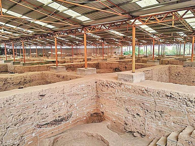 1000余件张公巷窑出土瓷器亮相——破解“北宋官窑”之谜的关键线索