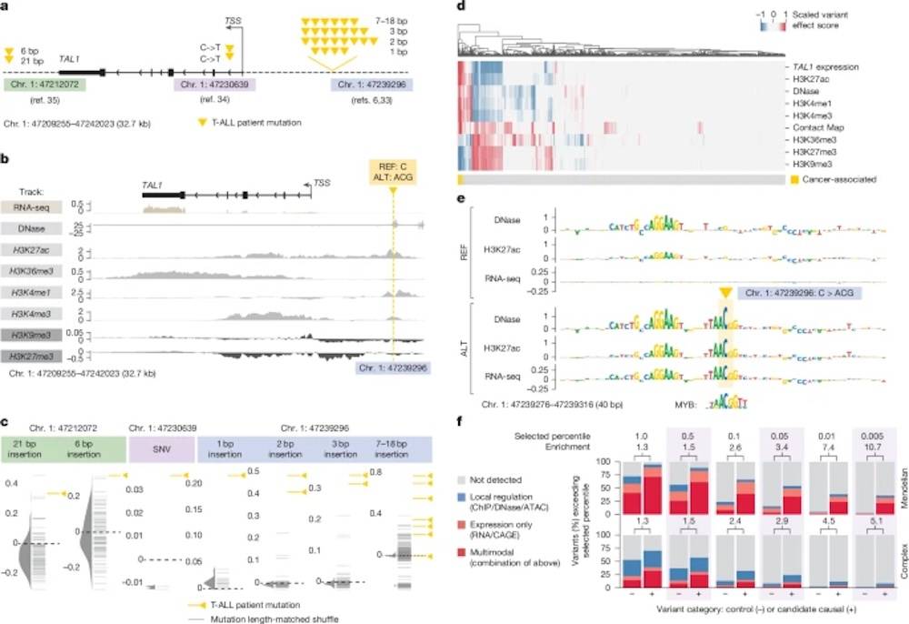 历史性一刻！人类基因密码被谷歌AI破解，DeepMind新作登Nature