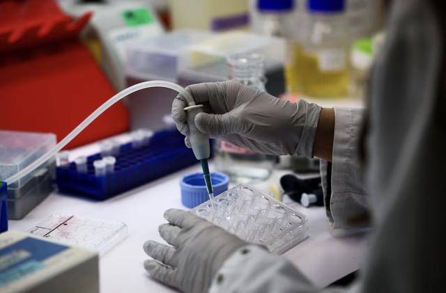 谷歌基因解码模型准确率已达90%!未来十年,AI将治愈所有疾病?