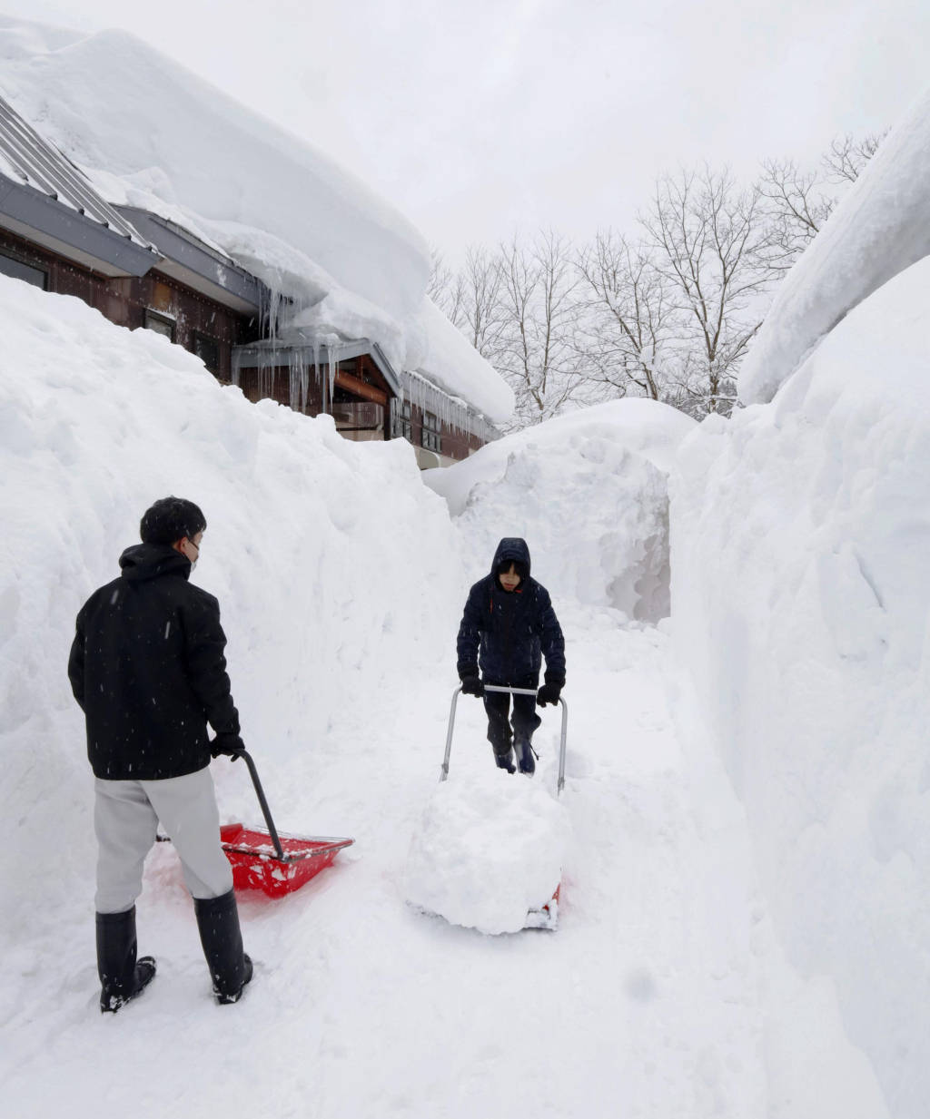 第1现场|日本遭遇强降雪致30人死亡,积雪厚度达255厘米