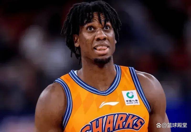 上海94-84战胜CBA盘口与数据深度__今日CBA盘口分析