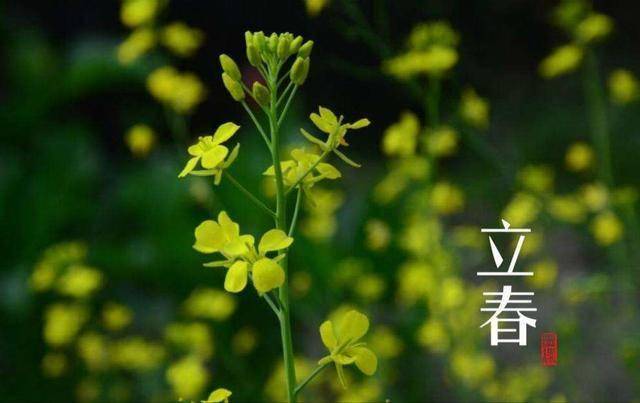 今日立春，不论多忙，建议“1要躲，2不做，忌3样”，平安入春！