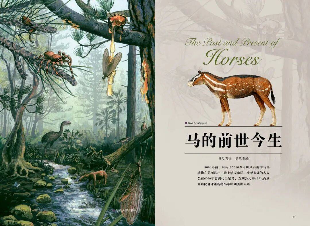 马的前世今生_始祖马_进化_动物