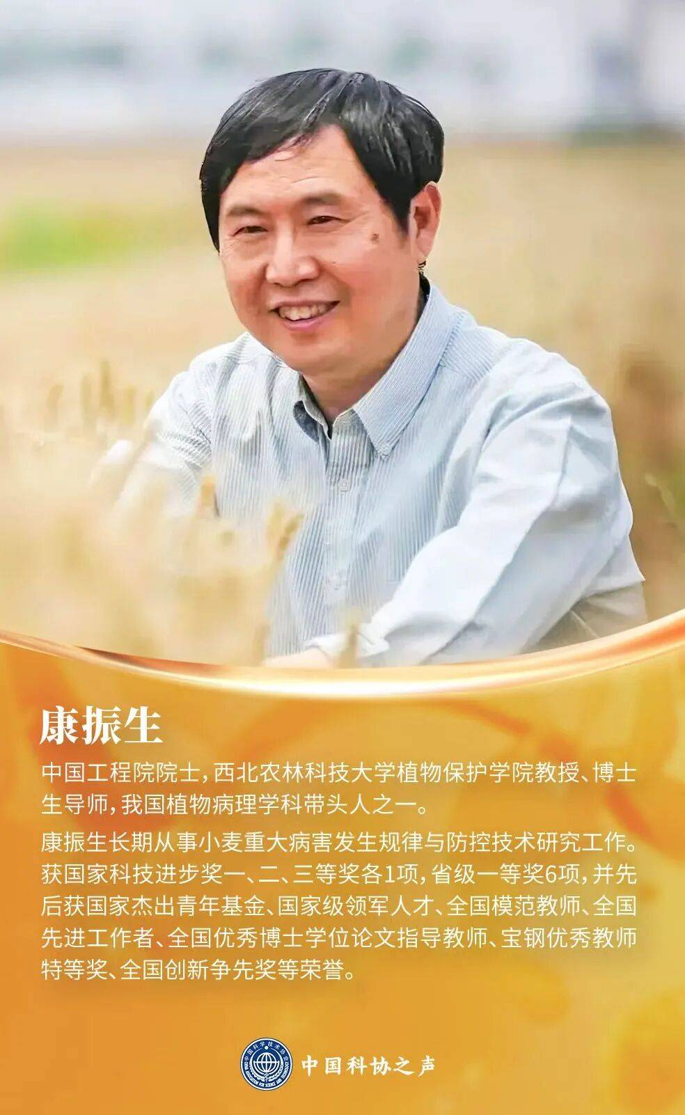 康振生:打赢防控小麦条锈病攻坚战_研究_李振岐_越夏