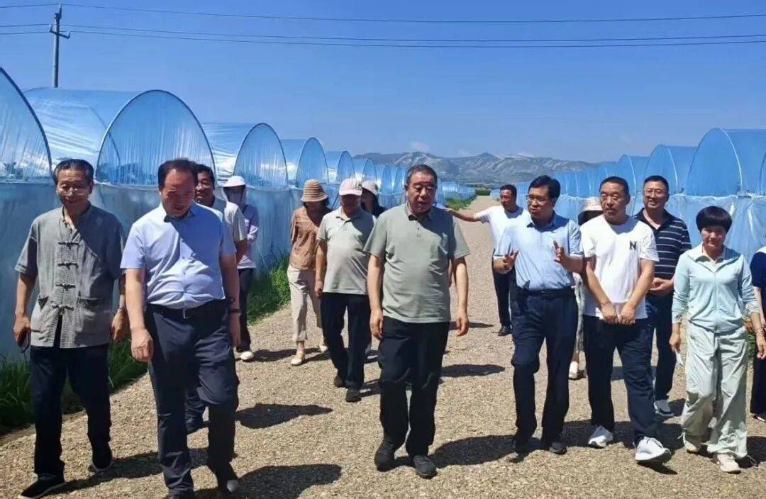 履职为民谋实策 劳务赋能促共富