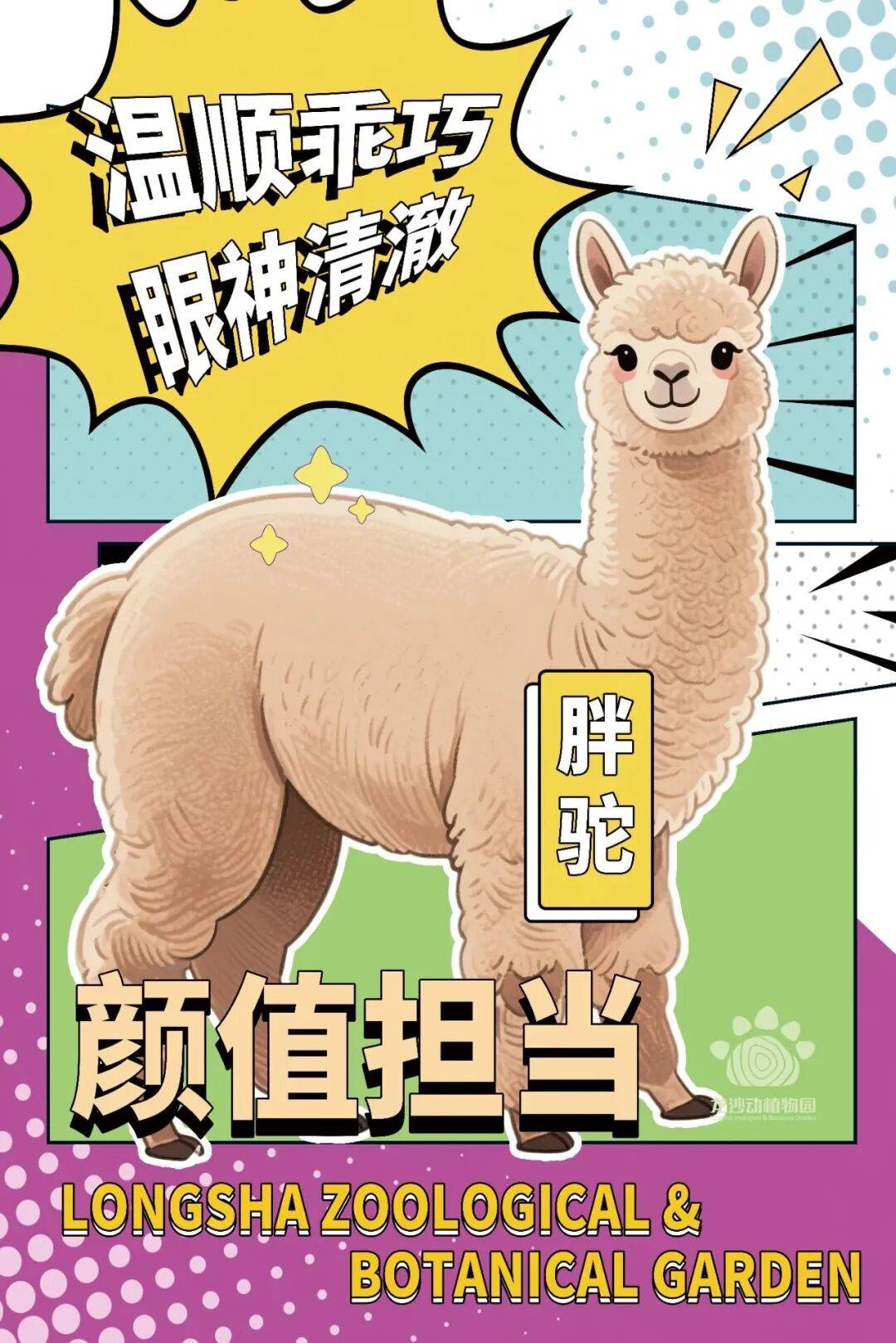 哪里买羊驼最便宜的呢