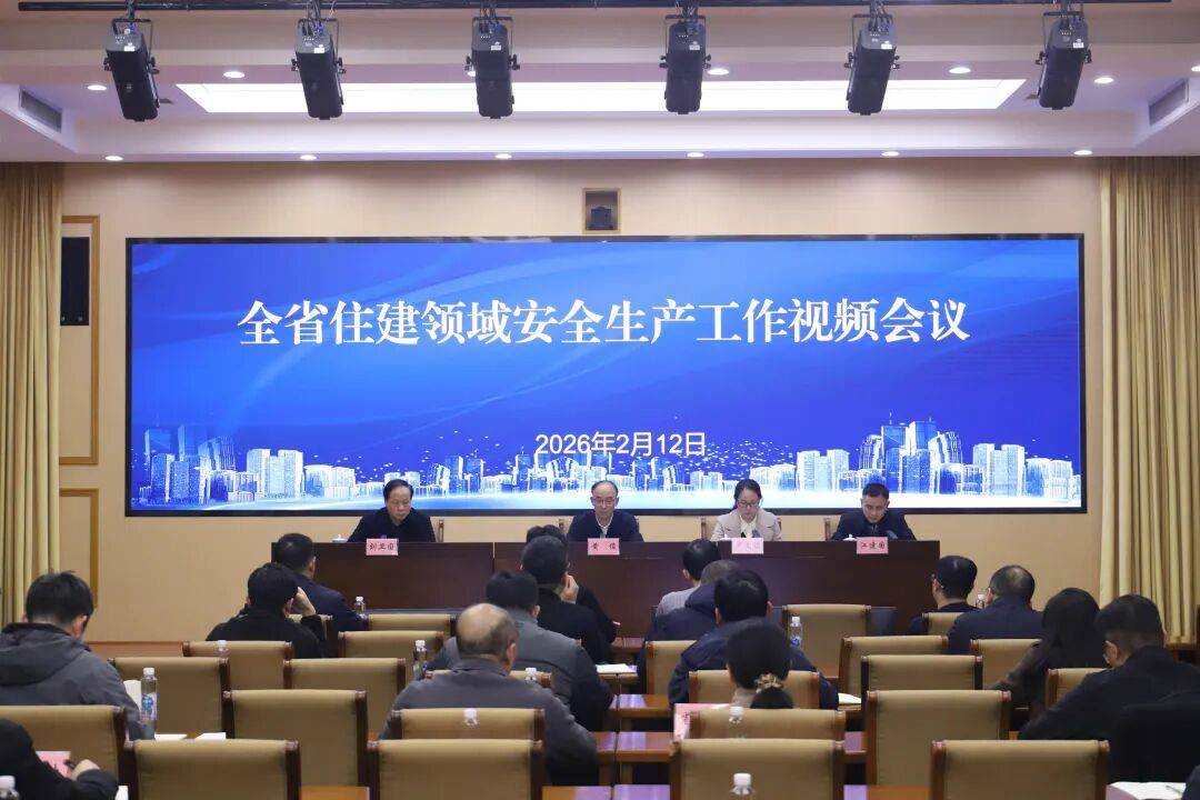 全省住建领域安全生产工作视频会议召开_城乡建设厅_建设部门_隐患