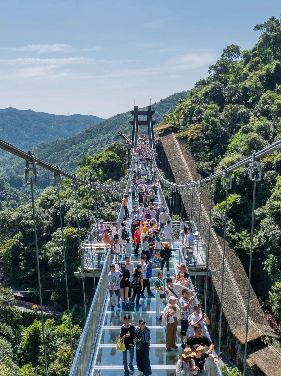清新区古龙峡打卡网红玻璃桥在青山绿水中拍氛围感大片;