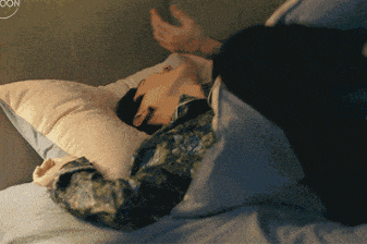 《本草纲目》点名的“安神木”！每晚枕它，一觉睡到大天亮！