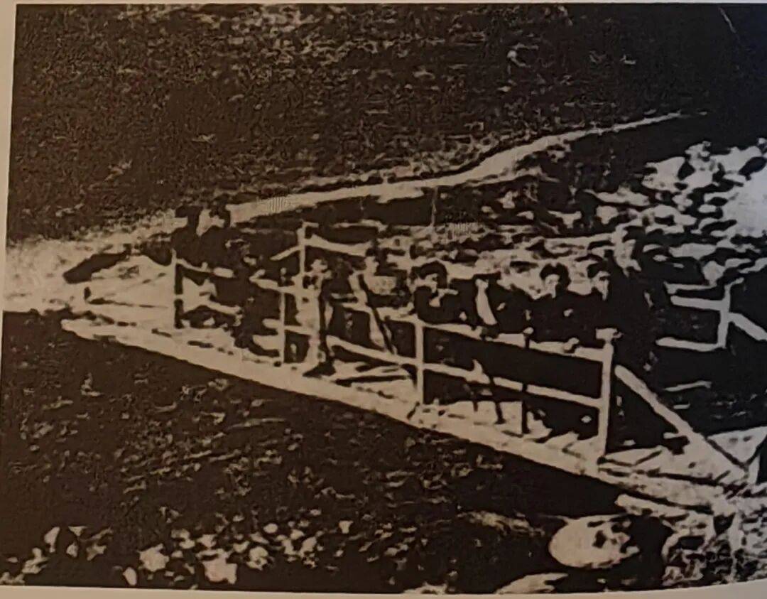 教育救国弦歌不伟德体育- 伟德体育官方网