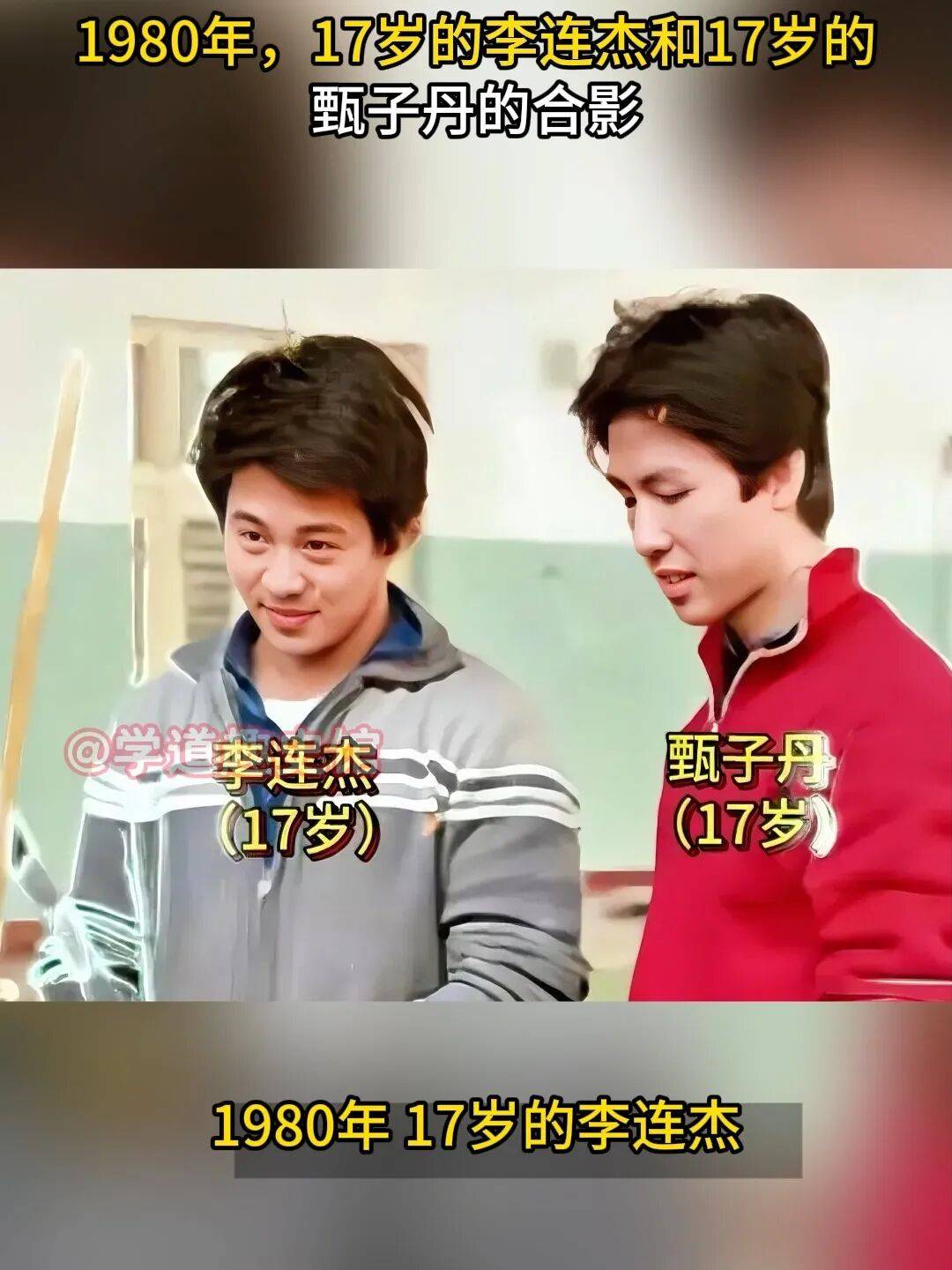 铁血侠骨硬汉子——甄子丹