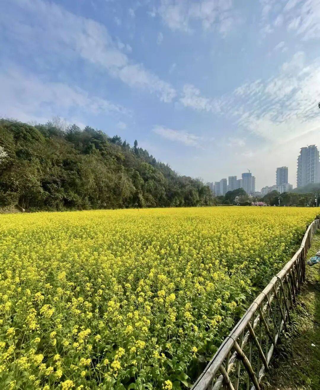 贵阳春日宝藏野餐地指南