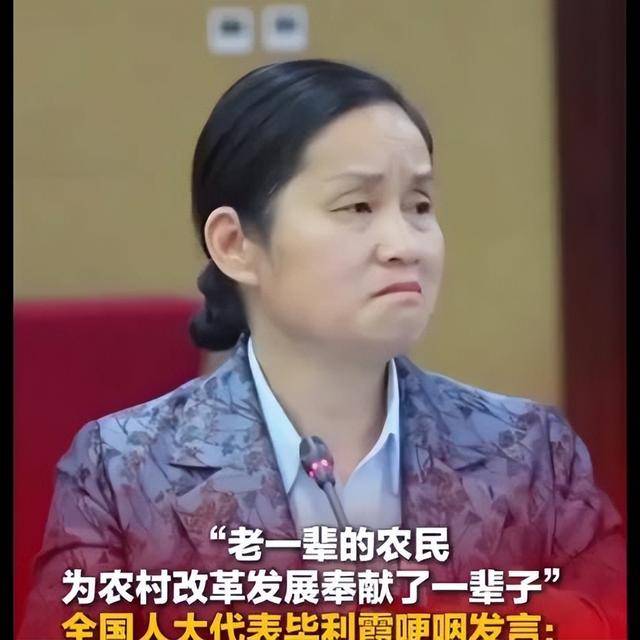 毕利霞代表含泪建议农民“免医保、涨至400元”,接到多部委电话_农村_老人_养老金