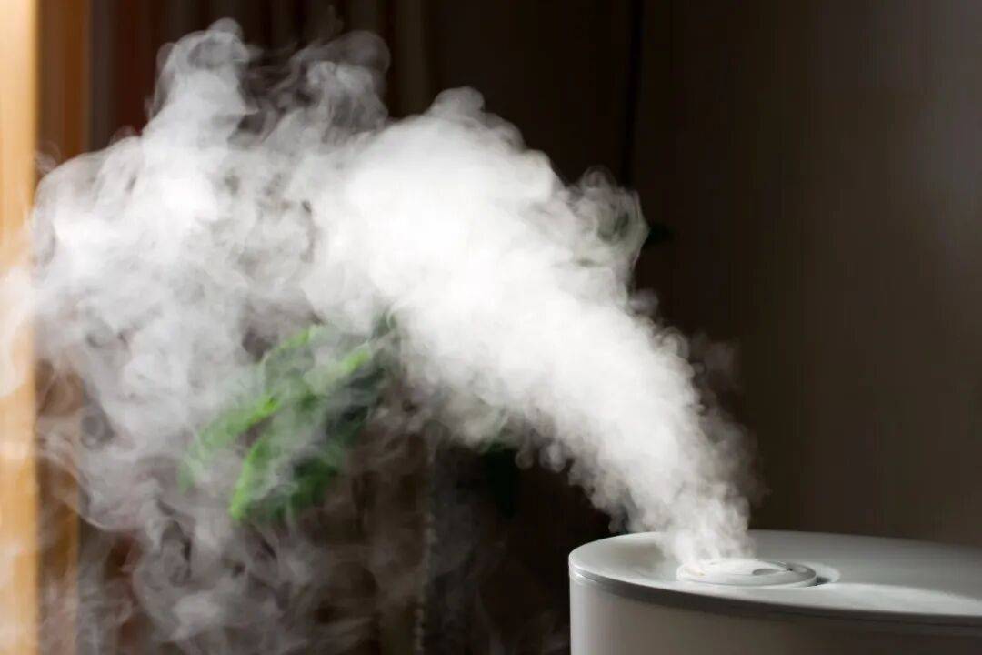 湿邪不除,越积越毒?这6个行为是身体的“加湿器”,千万别大意!_食物_运动会_湿气