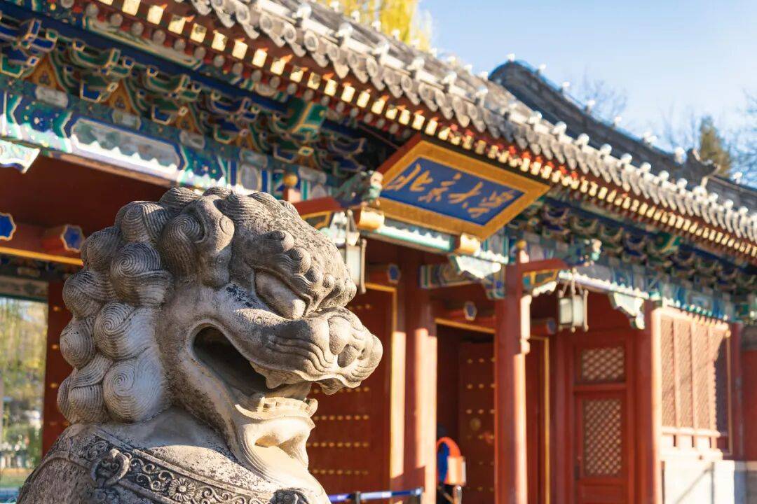 让热爱在书页间发光:北京大学出版社2026邀你同行_招聘_专业_图书