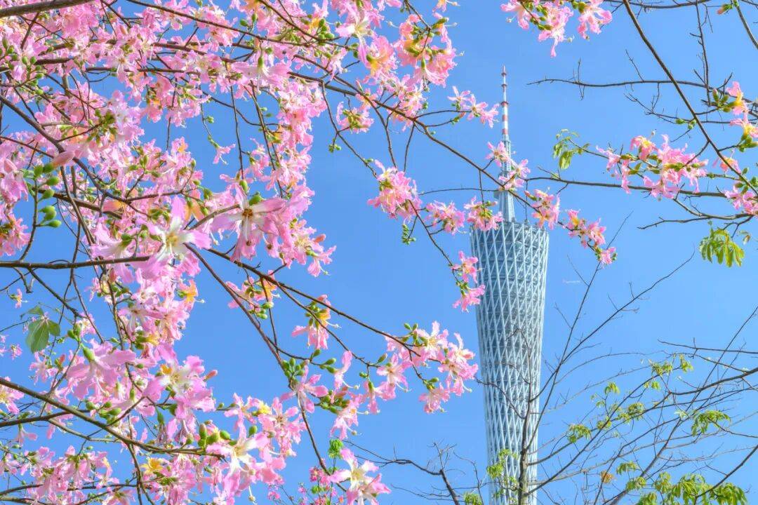 拍完这张照片，才算真正进入春天-华闻时空