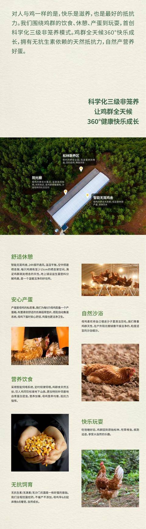 “野迹鸣”检出9.54mg/kg色素:高价散养蛋实为"看天放风"?(图2)