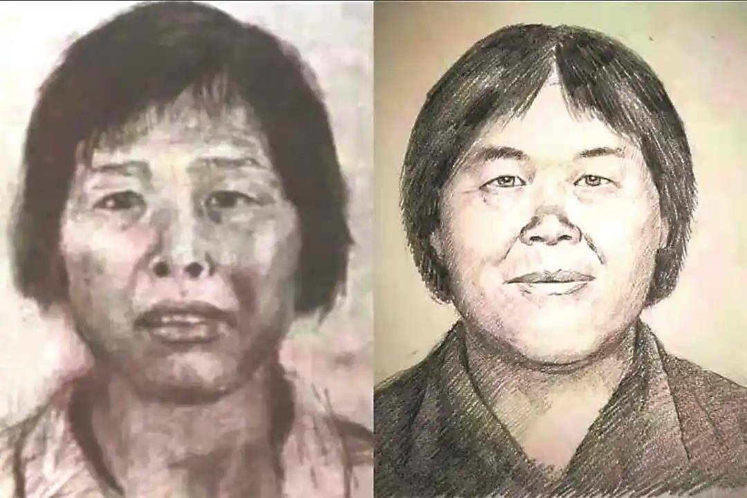 一文读懂“梅姨案”始末 9名被拐孩子已全部找回