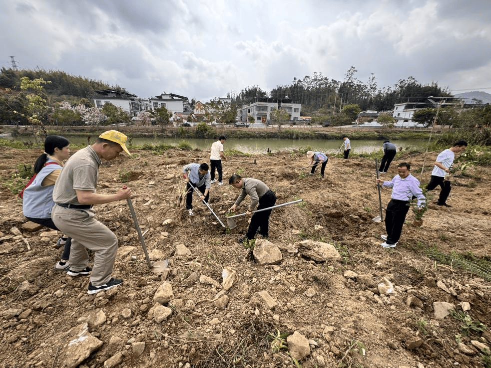 植绿护绿践初心 党建帮扶促振兴——惠州市科协党总支部赴蓝田乡开展主题党日暨义务植树活动_生态_工作