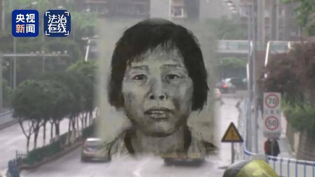 “梅姨”如何落网？央视独家专访“梅姨案”办案民警→_张维平_儿童_谢某某