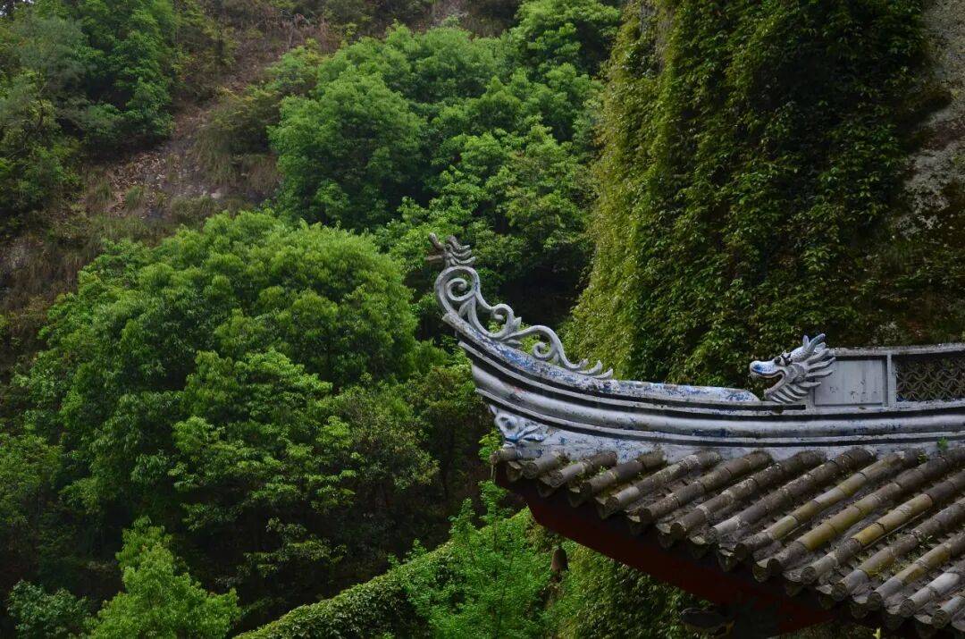 诗路天台┃《四睡赞 二首》 南宋•释了惠_老虎_憨痴_邹阳