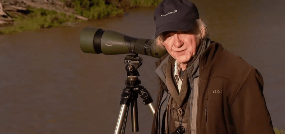 盯了狼群6000多天，他揭穿了动物世界里最大的谎言