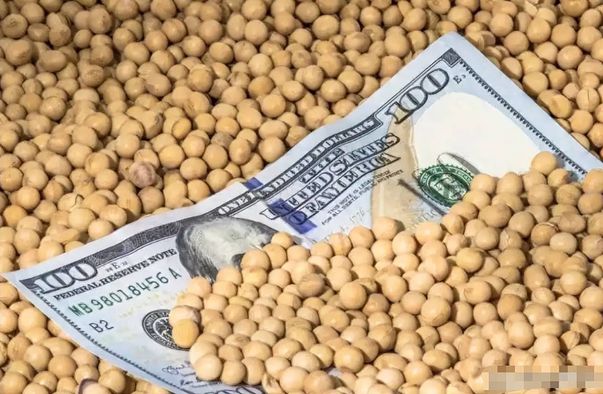 购买美国大豆