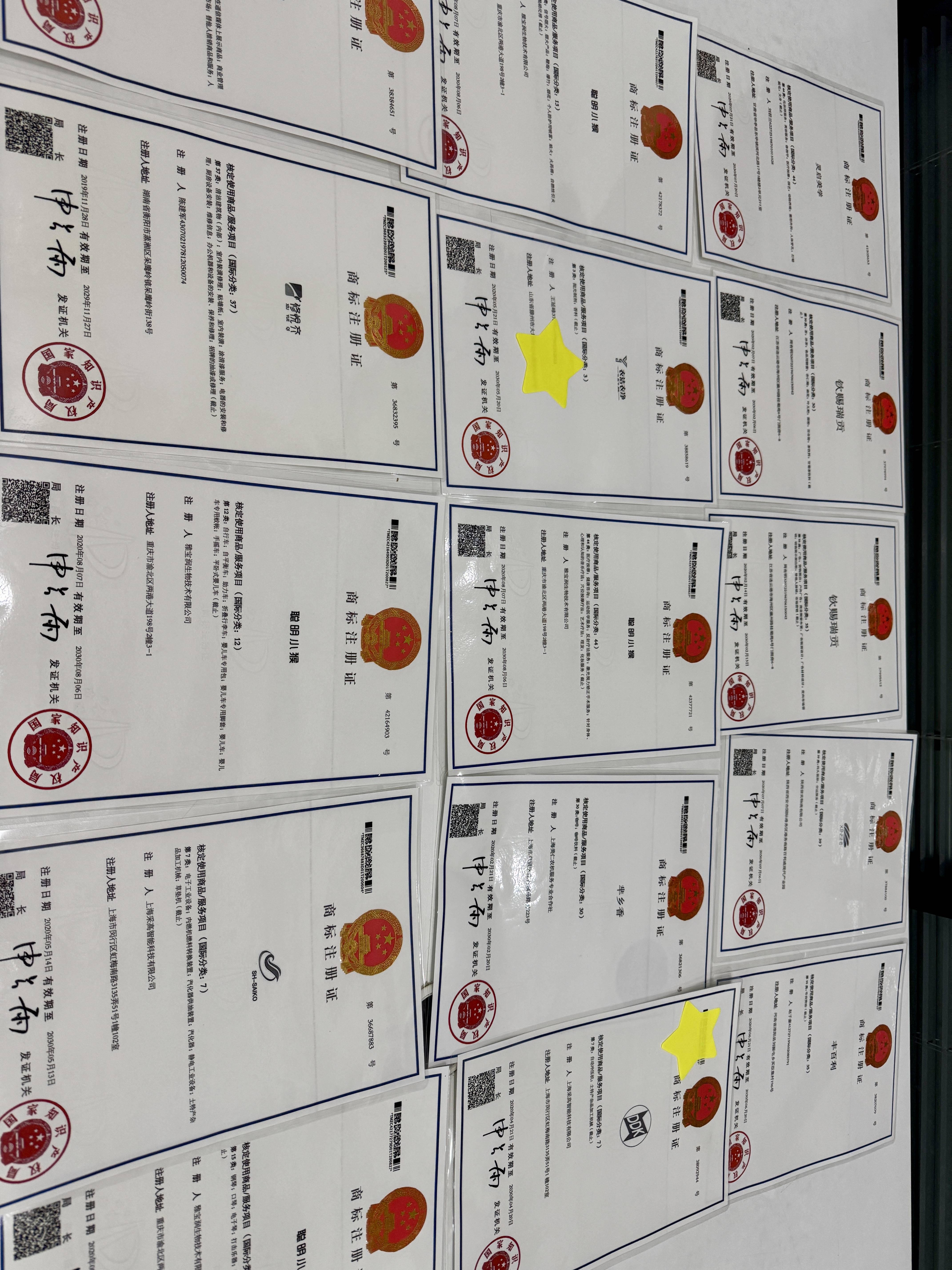 成都工商代办市场动态解析