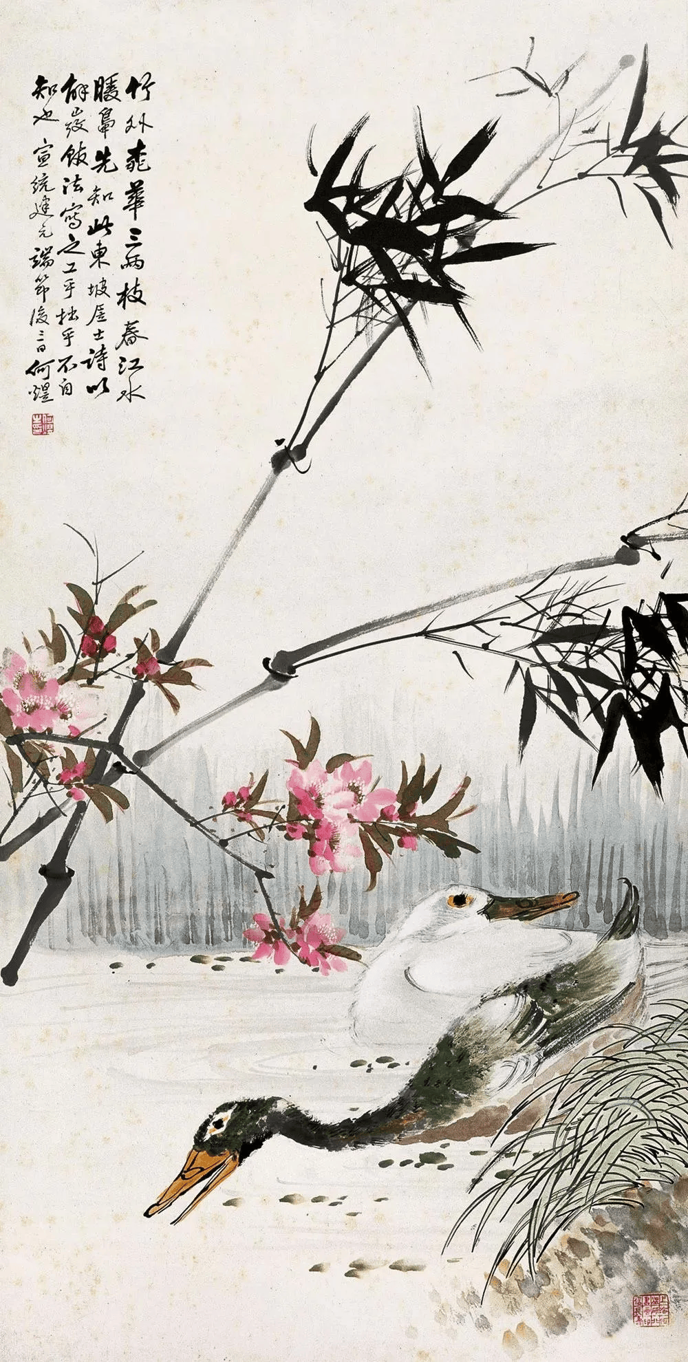 ������д�⻨��