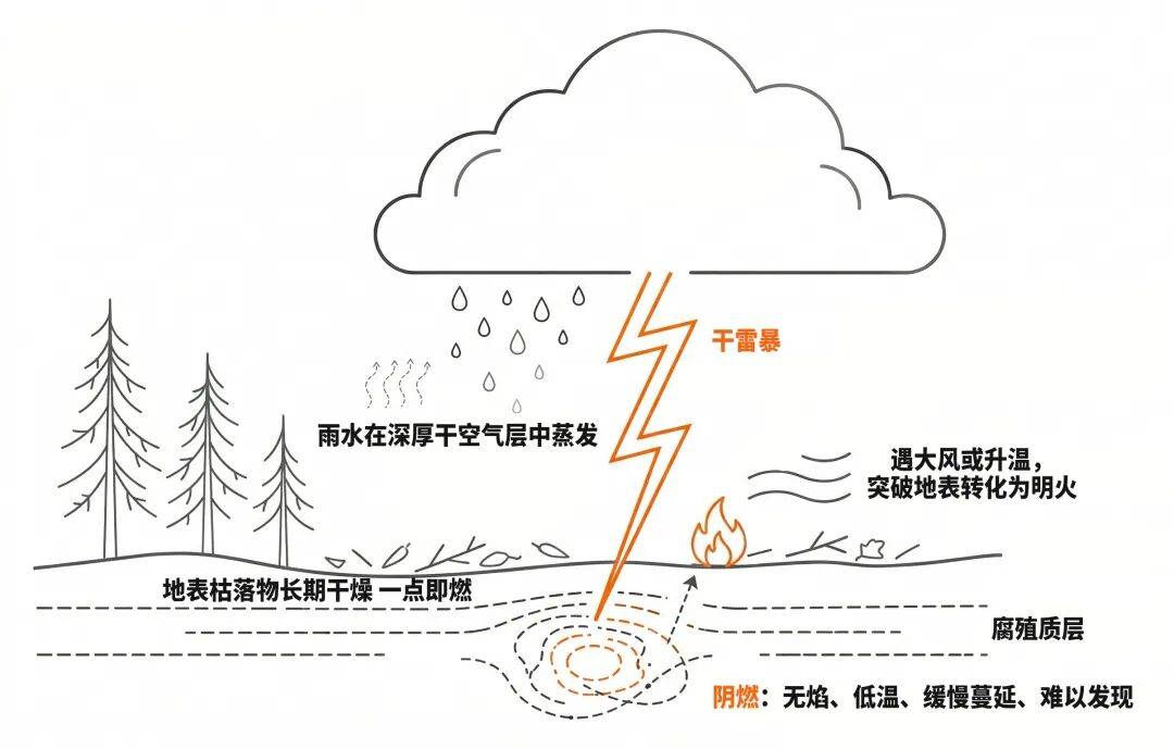 警惕干雷暴!气象如何守护森林草原防火安全?_雷击火_地表_火灾