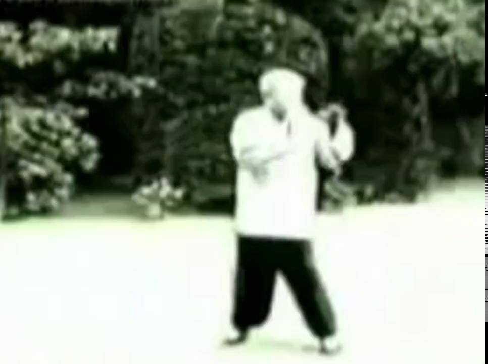 杨式太极拳大师傅钟文先生演练太极拳的珍贵视频