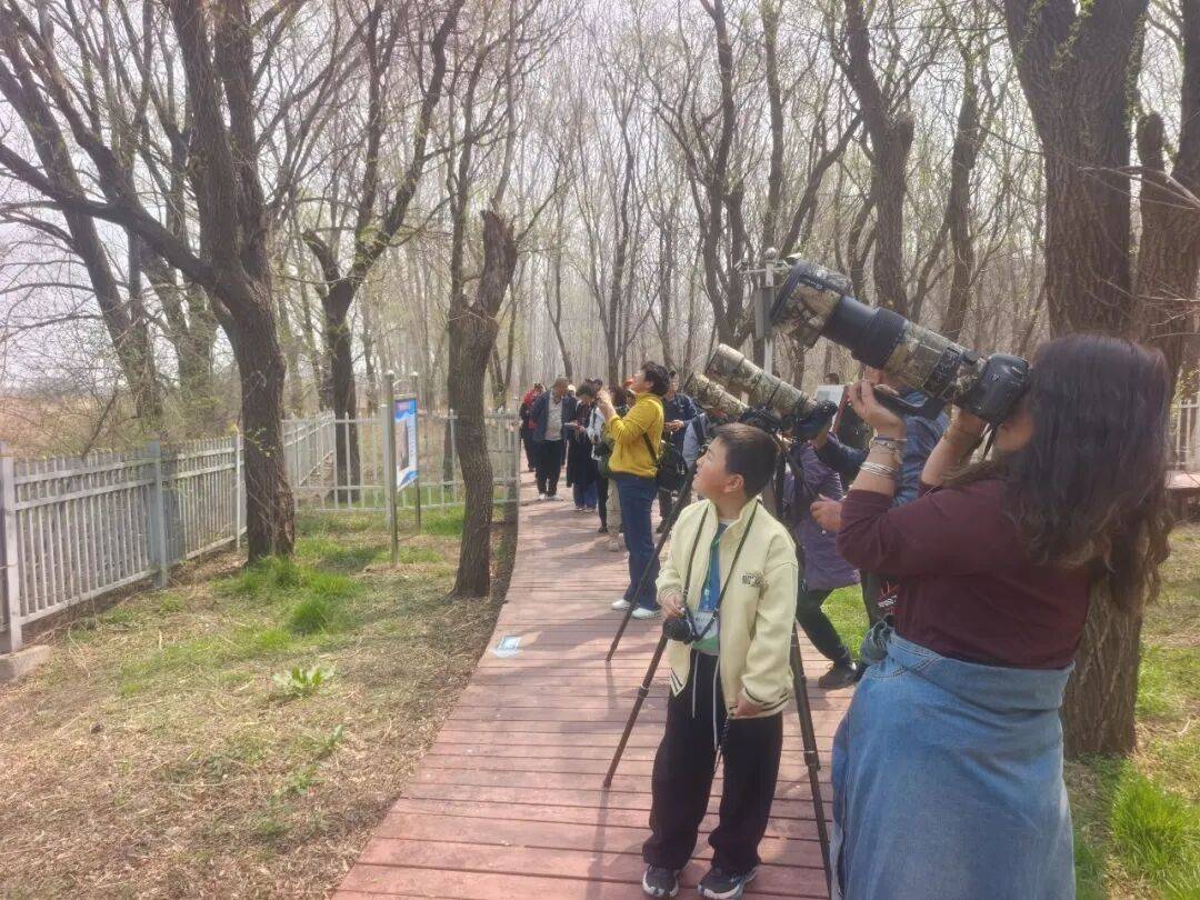 辽冀三地鸟友聚秦皇岛 共促候鸟保护与生态共建_鸟类_湿地_北戴河