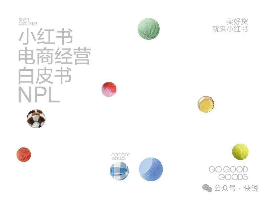 2026小红书电商经营白皮书NPL