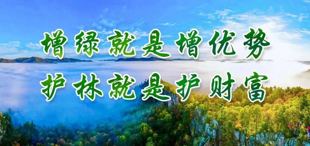 绿化树型修剪