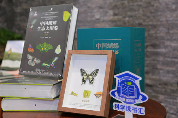那只深空破蛹的蝴蝶“回”了趟重庆