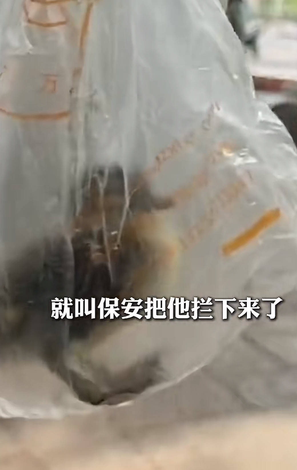 游客在杭州一公园游玩时抓走一只小鸳鸯准备带走，幸被爱心人士发现拦截并报警