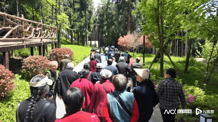 图片[2]-“反向带妈”成潮流！母亲节催热“妈妈团”出动 -华闻时空