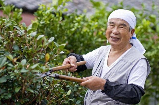 原创            日本人不爱运动，却最长寿，百岁老人患癌率极低，原因值得深思
