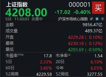 A股震荡走低，沪指半日下跌0.4%