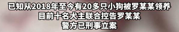 男子騙養20多只狗，供自己的烈犬撕咬，被十余位犬主聯合控告，東莞警方：羅某某被依法扣留，案件正調查海報